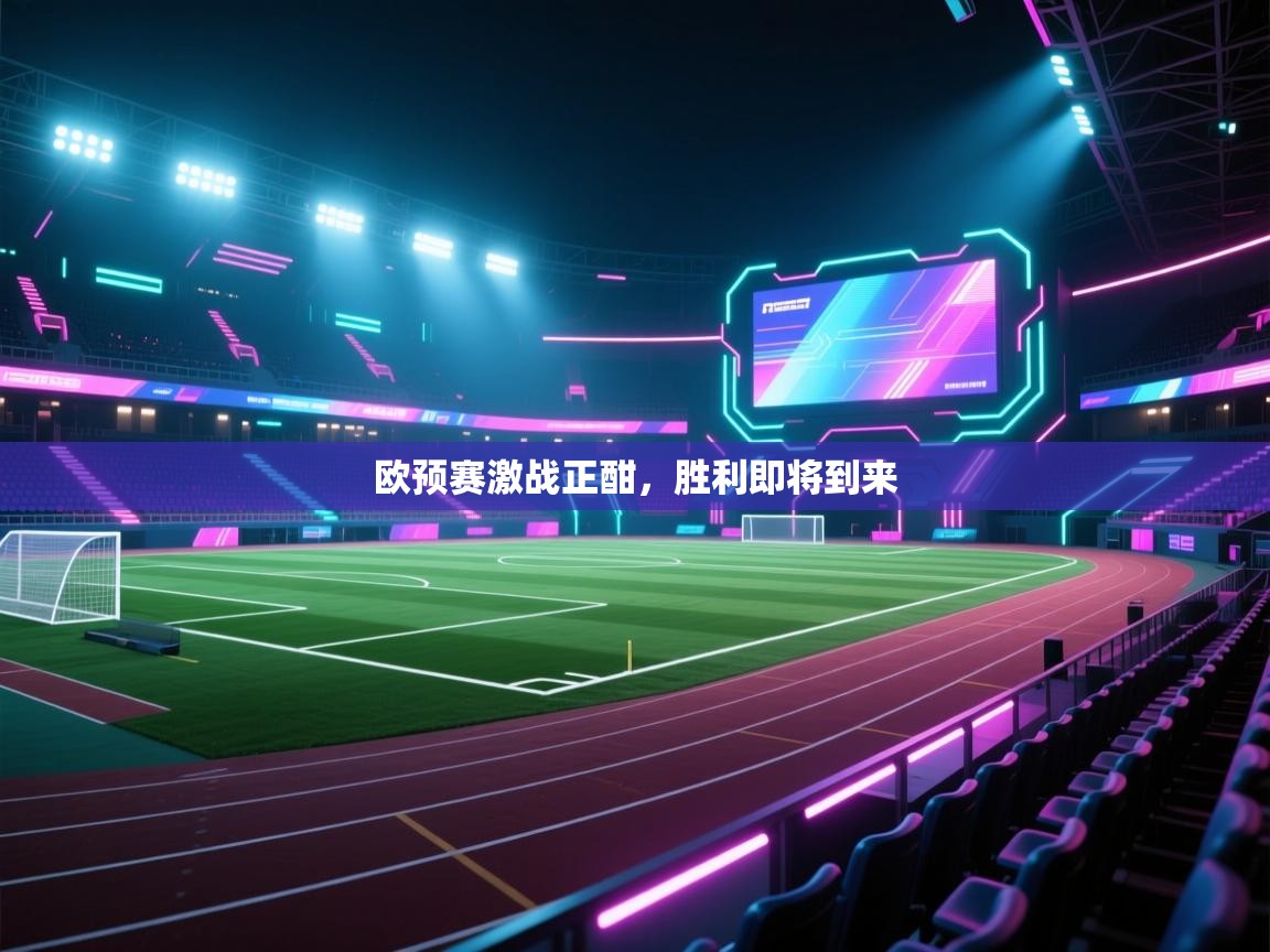欧预赛激战正酣，胜利即将到来  第2张